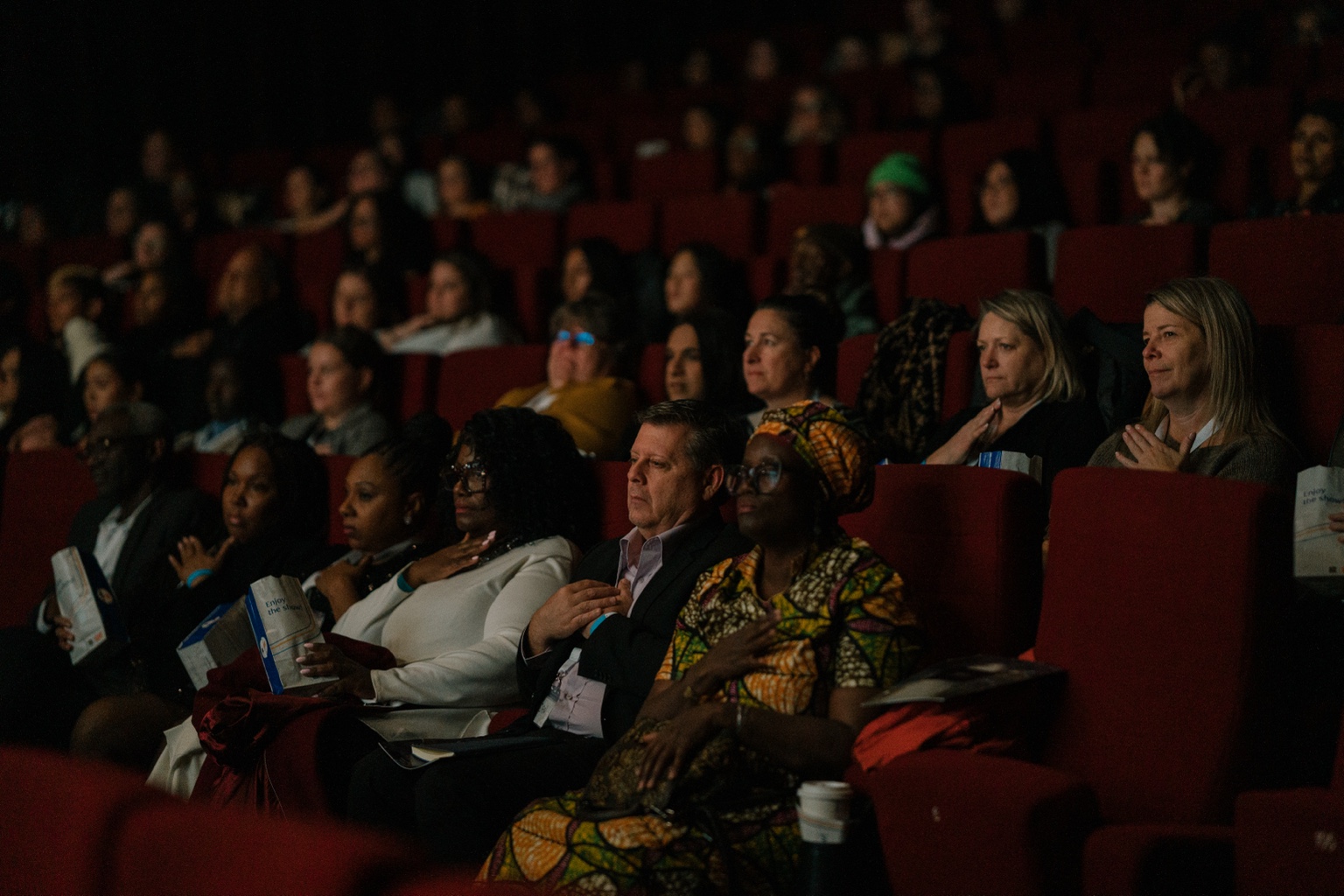 Audience seated in the theatre for the documentary premiere